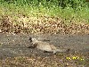 rise (115).jpg